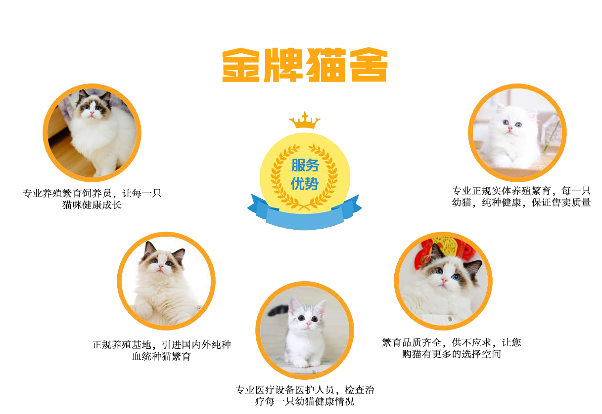 保障